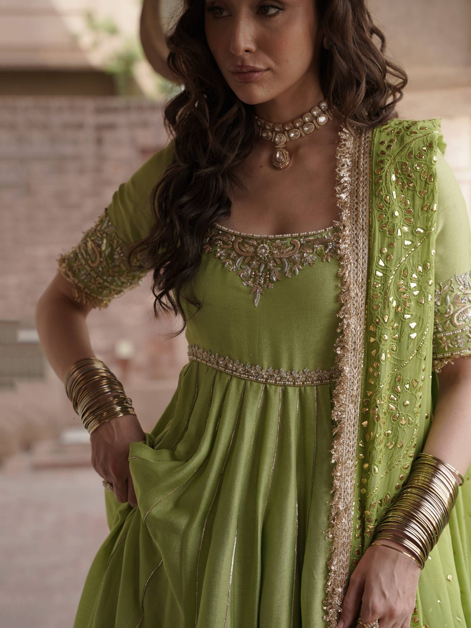 Dilruba - Image 2