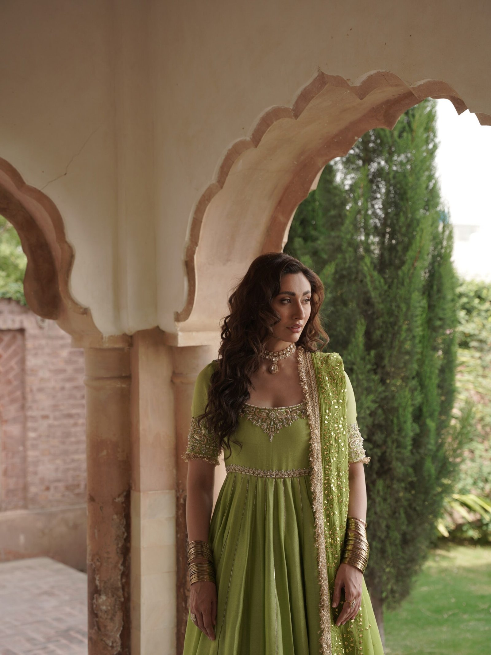 Dilruba - Image 3